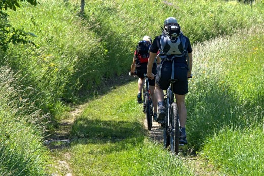 da merate a parco di monza in bicicletta